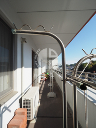 �o���R�j�[�@���s�̍L���o���R�j�[