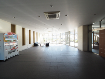 �G���g�����X�@-